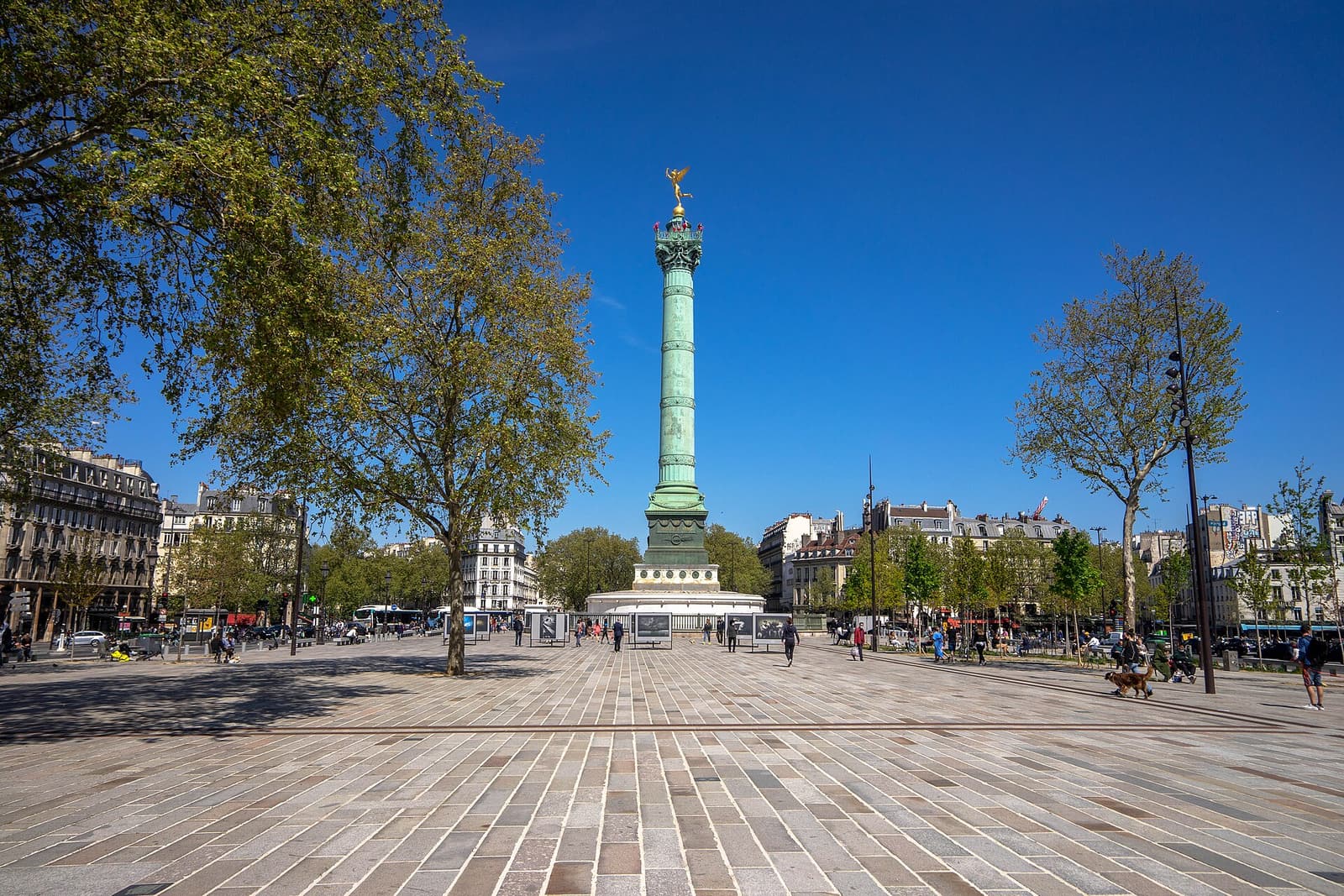 The July Column rising above the wide, tree-lined Place de la Bastille under a blue sky